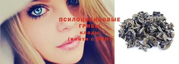 гашик Наволоки