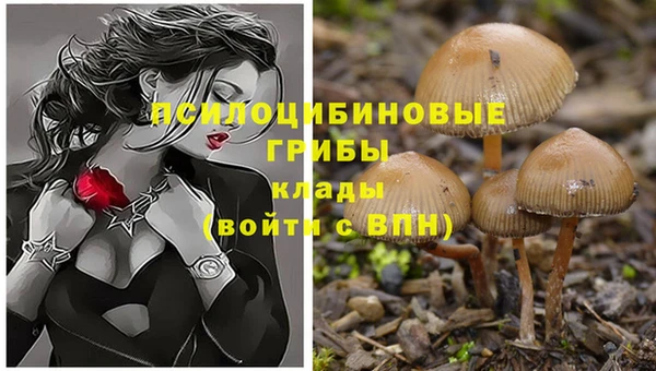 гашик Наволоки