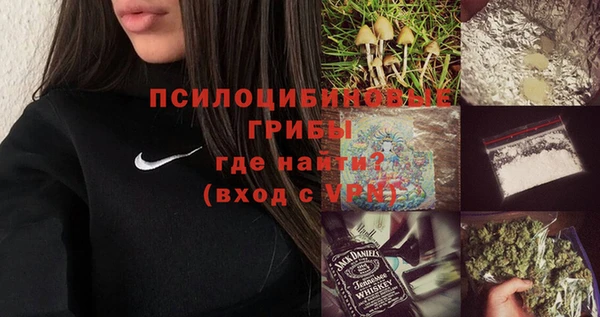гашик Наволоки