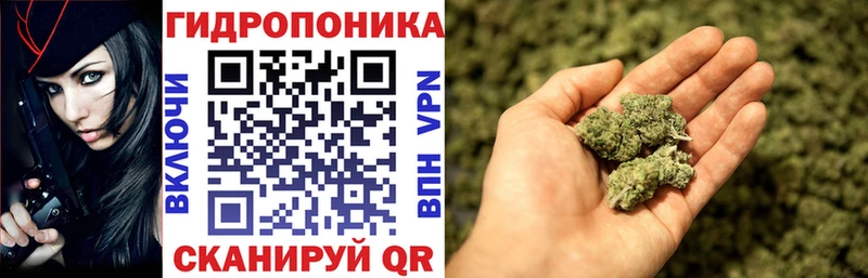 Каннабис план Ленинградская